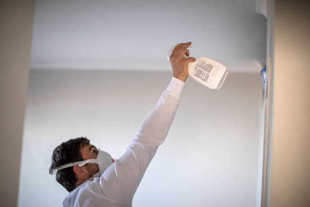 Certified Mold Removal in Lone Star, TX