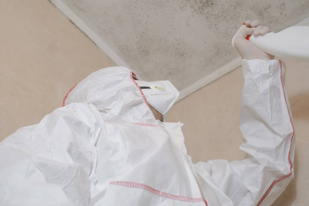 Best Commercial Mold Removal  in Lone Star, TX